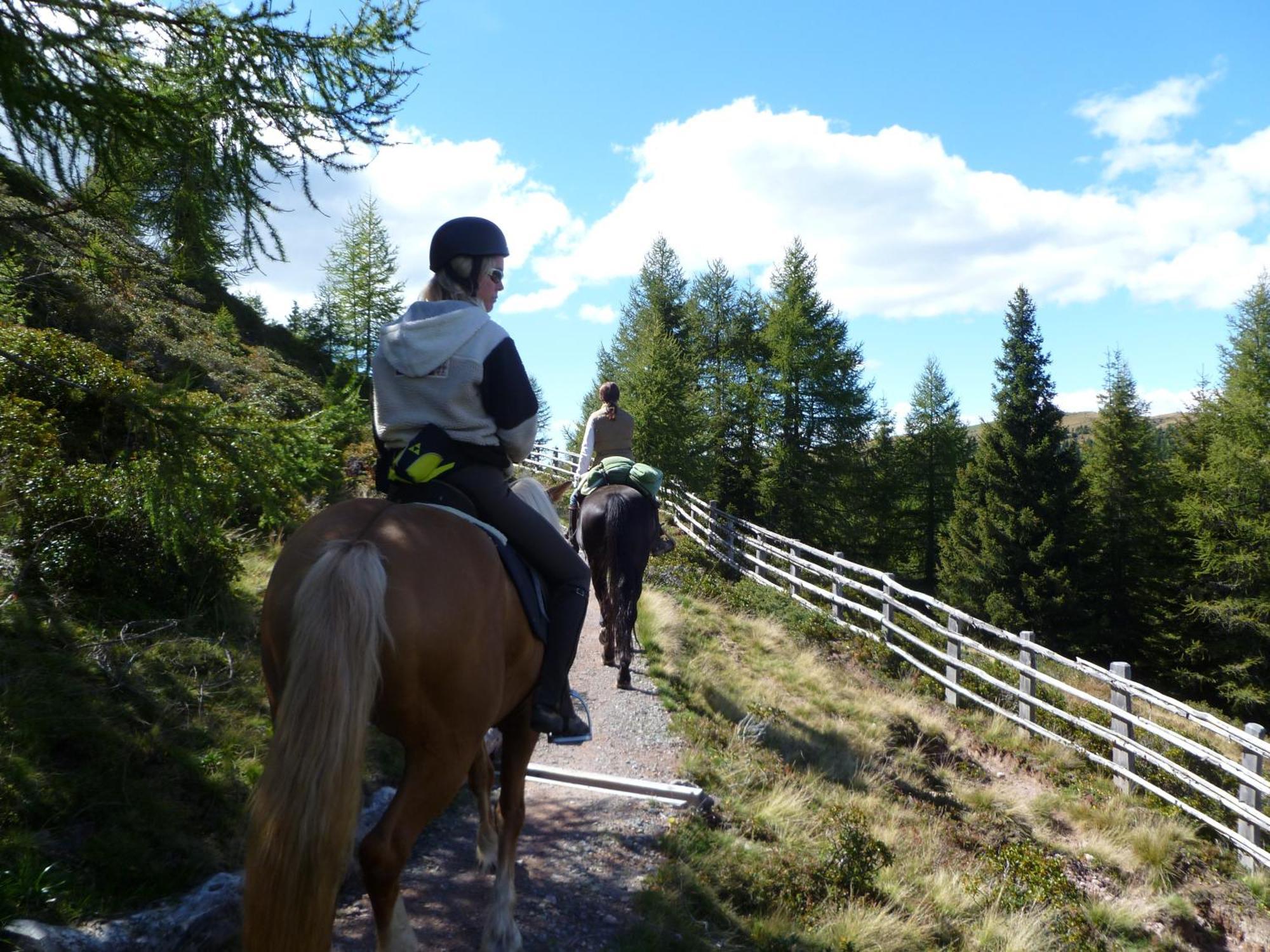 Reiterhof Edelweiss Hotel Jenesien Eksteriør billede